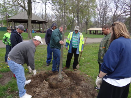 Arbor Day