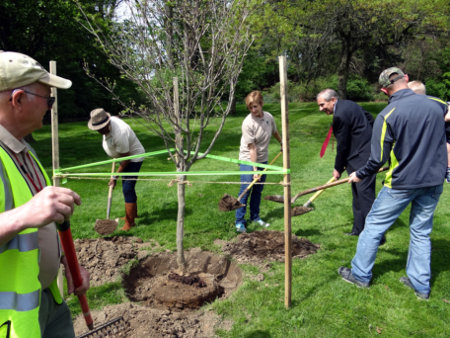 Arbor Day